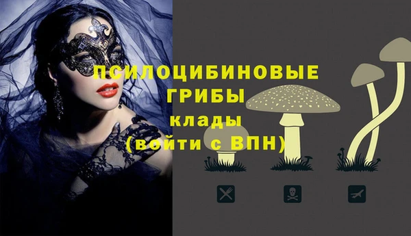 индика Алексин