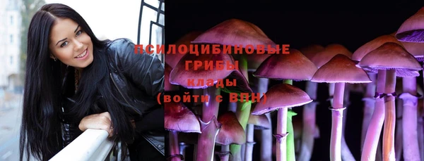 индика Алзамай