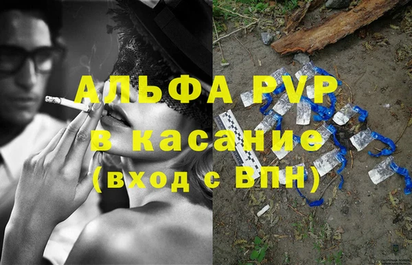 индика Алзамай
